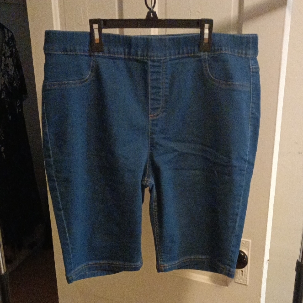 Erika Women's Blue Jean Shorts